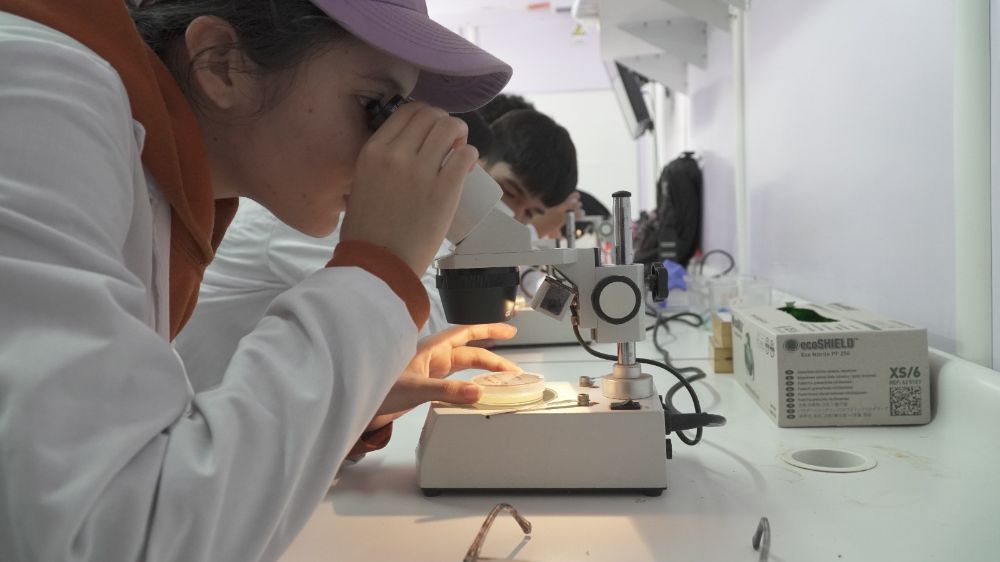 “Nos pareció muy interesante poder hacer todo esto de manera casera con un vegetal. Pudimos ver la proteína, destruirla y ver el ADN. Nunca habíamos tenido una experiencia tan cercana a un laboratorio”, destacan un estudiante de la isla.